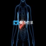 당신의 간 건강을 위한 필수 가이드: 간암의 원인과 해결책