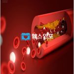 고지혈증에 좋은 음식 - 헬스인포