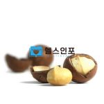 마카다미아 효능 7가지ㅣ건강을 위한 슈퍼푸드!
