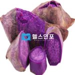 자색고구마 효능 자색고구마 보관법 자색고구마 구입시 주의사항