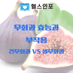 무화과 효능과 부작용