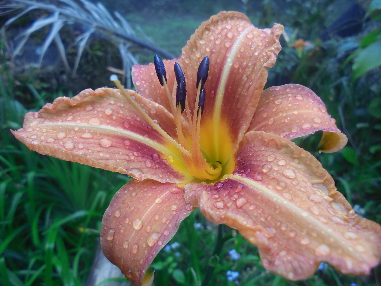 안압 낮추는법(안압이 높으면)