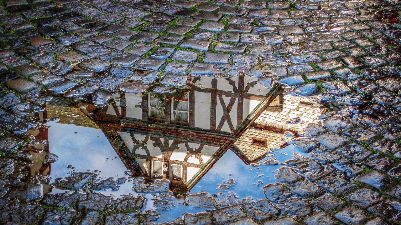 눈두덩이 부음(눈두덩이 빨갛게, 눈두덩이떨림)