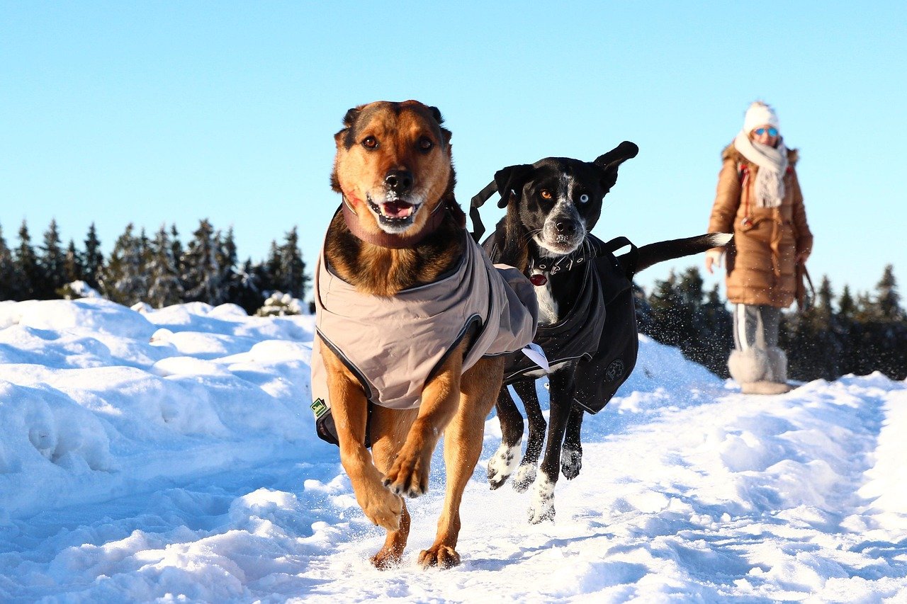 멍 빨리 빼는법(피멍 빼는법)