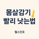 몸살감기 빨리 낫는법