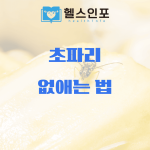 초파리 없애는 법
