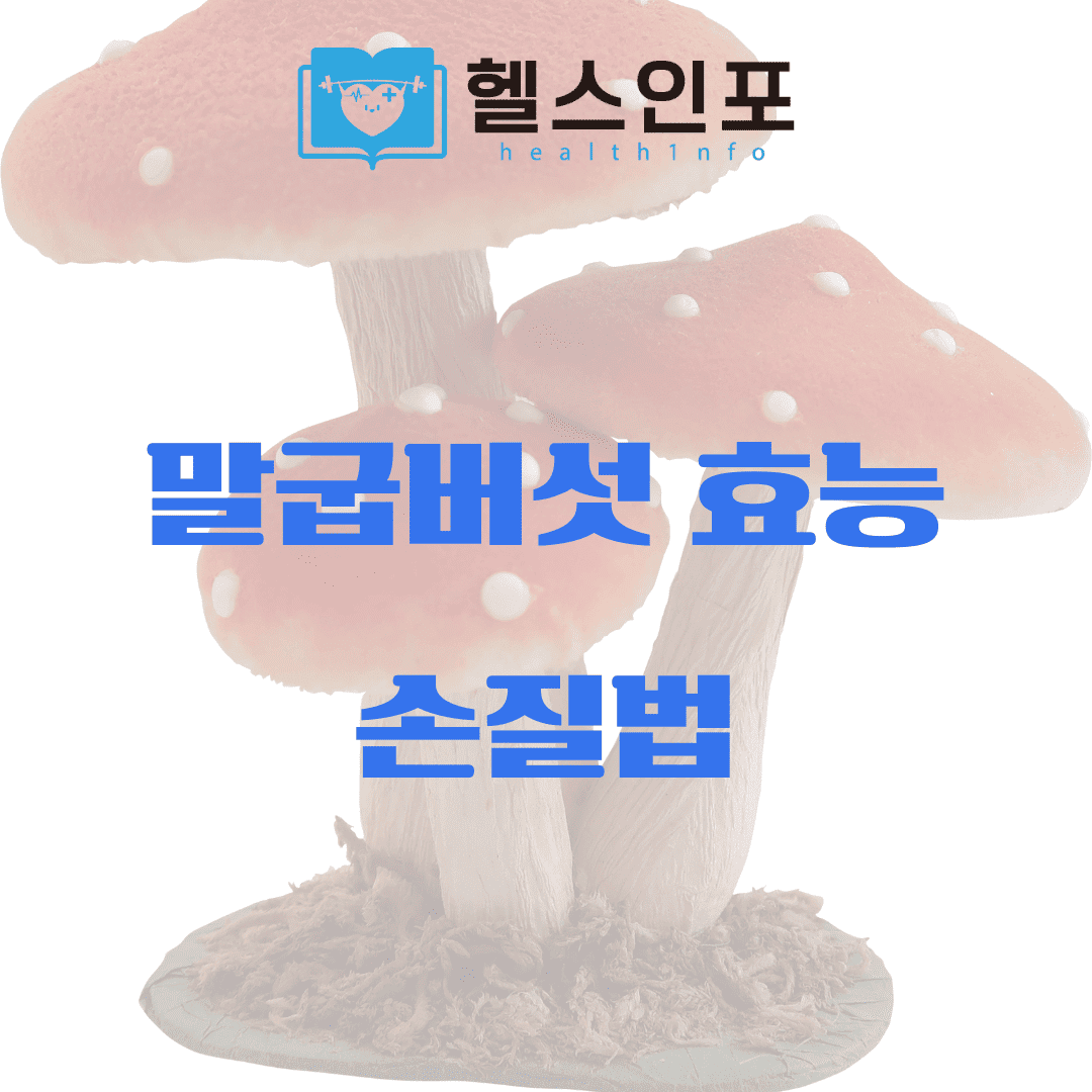 말굽버섯 효능 손질법