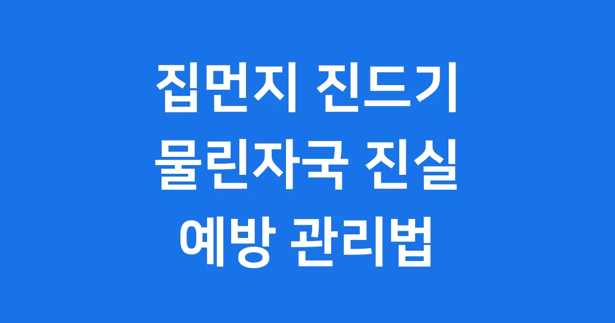 집먼지 진드기 물린자국 증상과 해결법