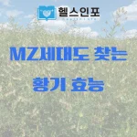 황기 효능