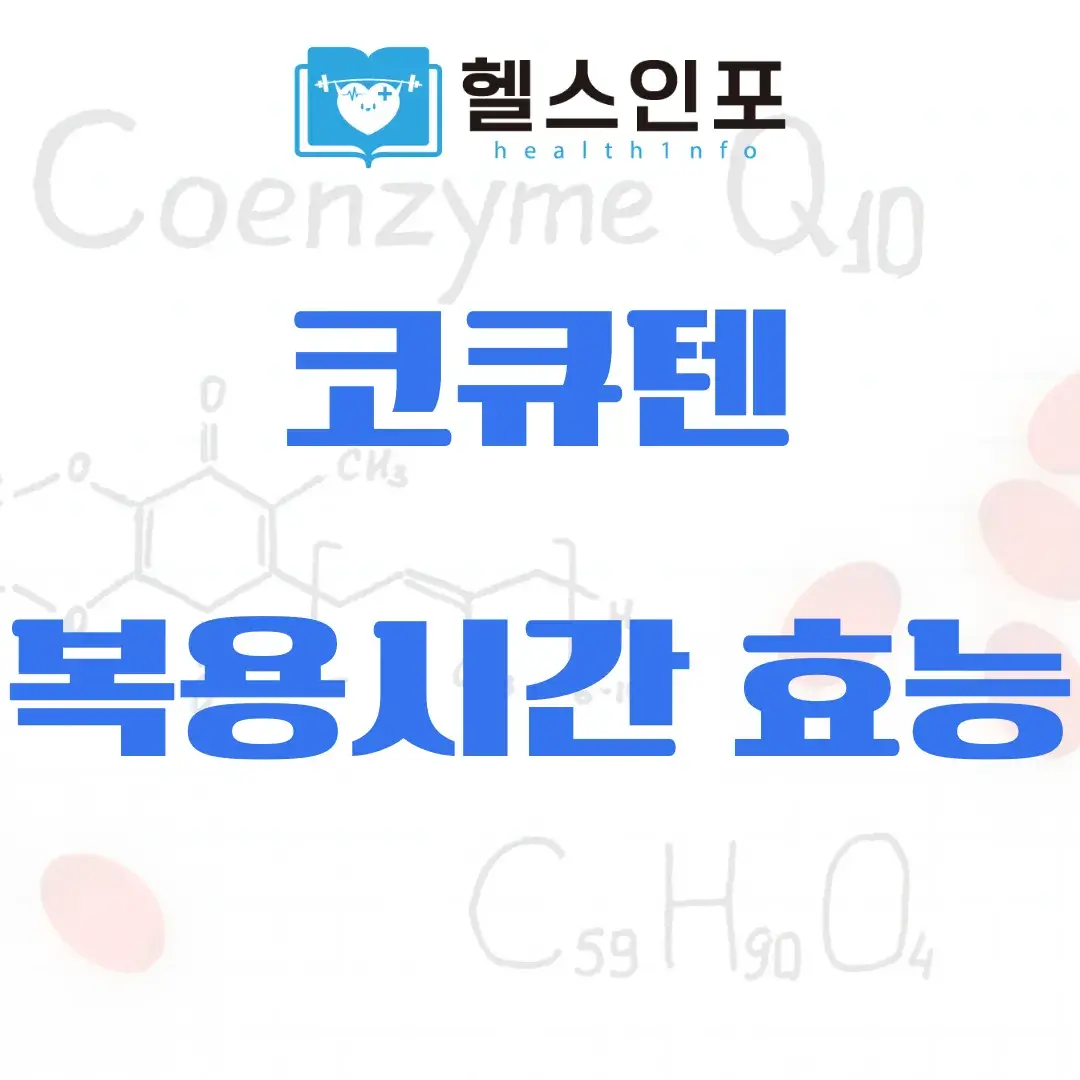 코큐텐 복용시간 효능