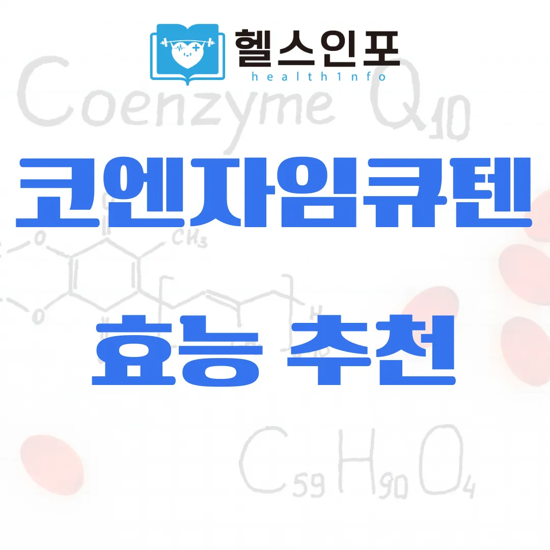 코엔자임큐텐 효능 추천
