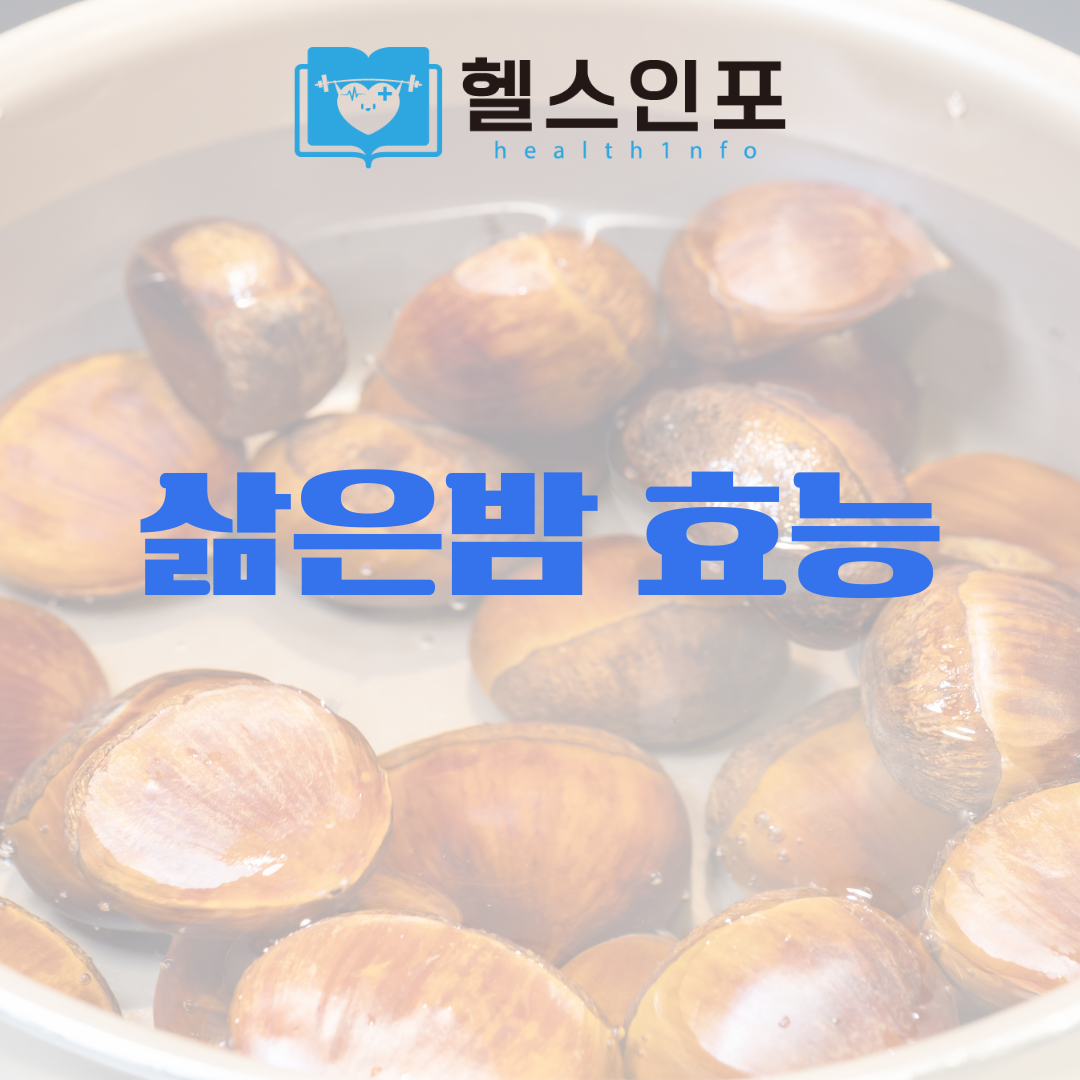 삶은밤효능