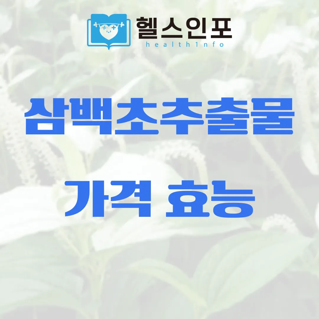 삼백초추출물가격 효능