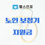 노인 보청기 지원금