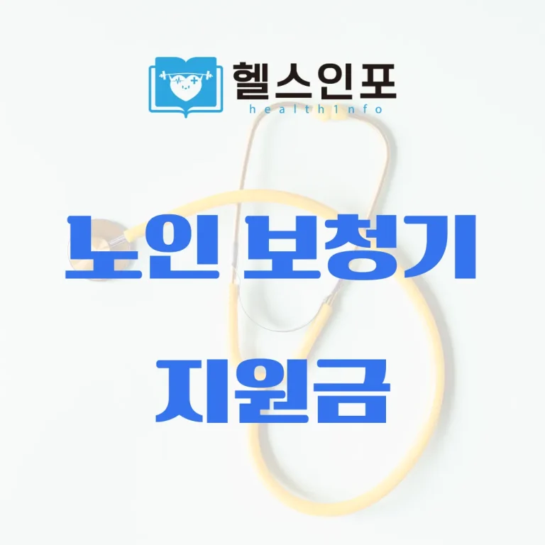 노인 보청기 지원금
