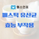 매스틱 유산균 효능 부작용