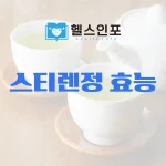 스티렌정 효능