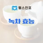 녹차 효능