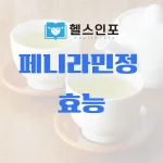 페니라민정 효능