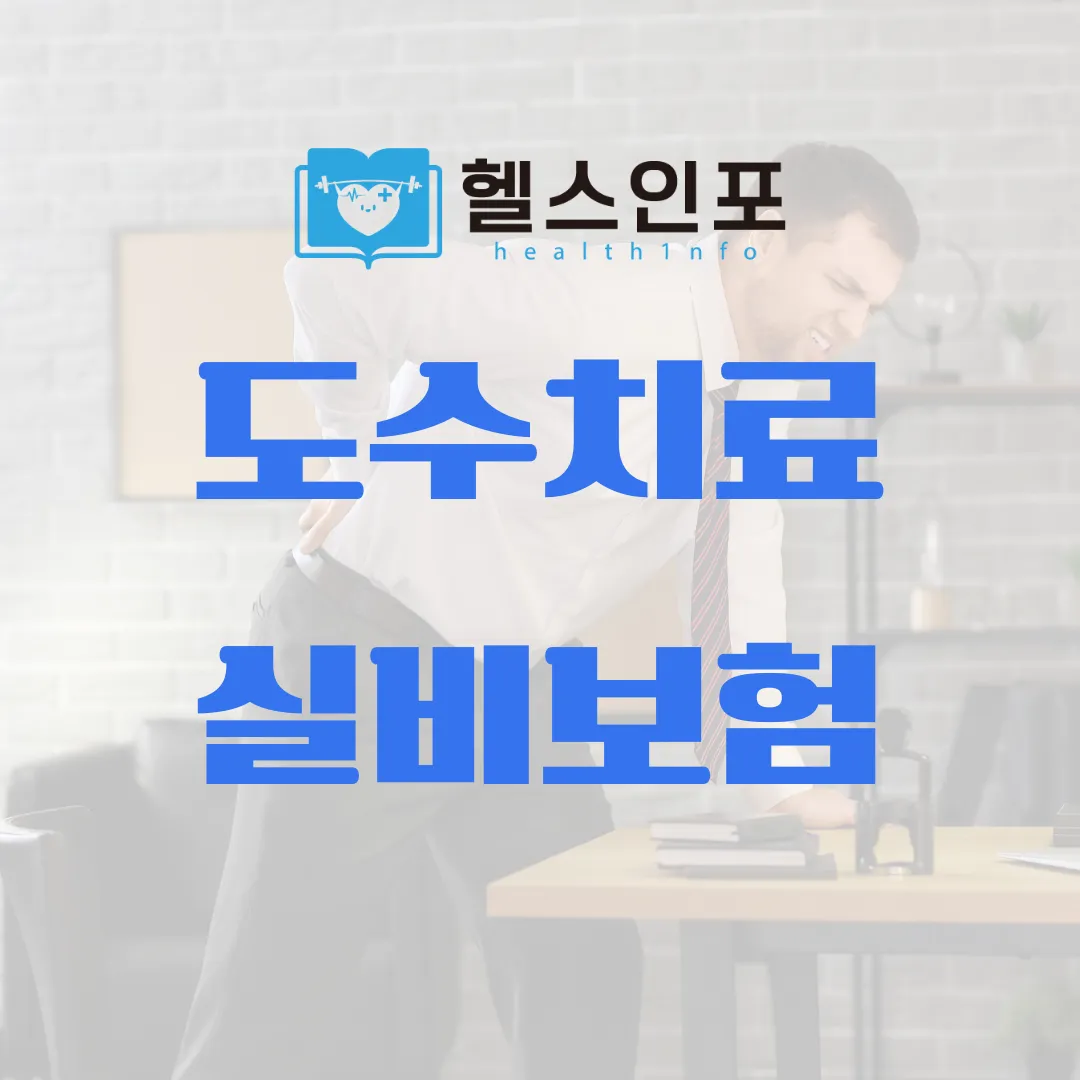 도수치료 실비보험