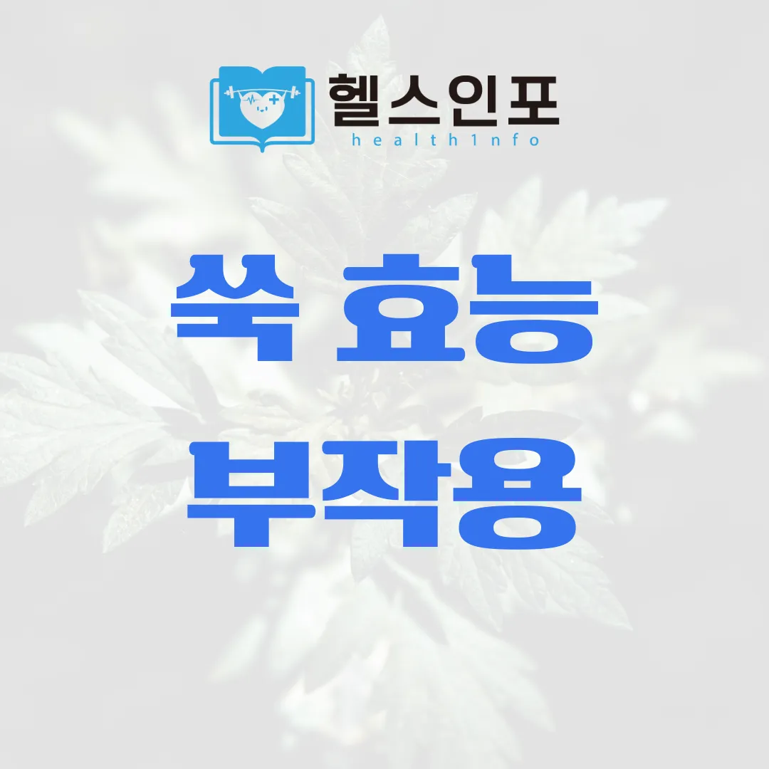 쑥 효능 및 부작용