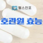 효관원 효능