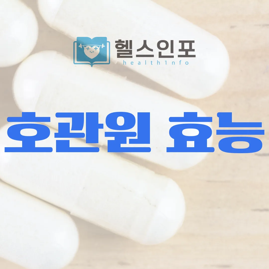 효관원 효능