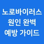 노로바이러스 원인