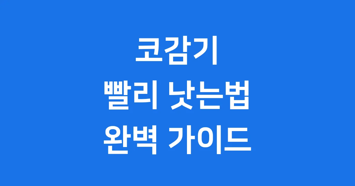 코감기 빨리 낫는법