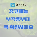 징코페놀