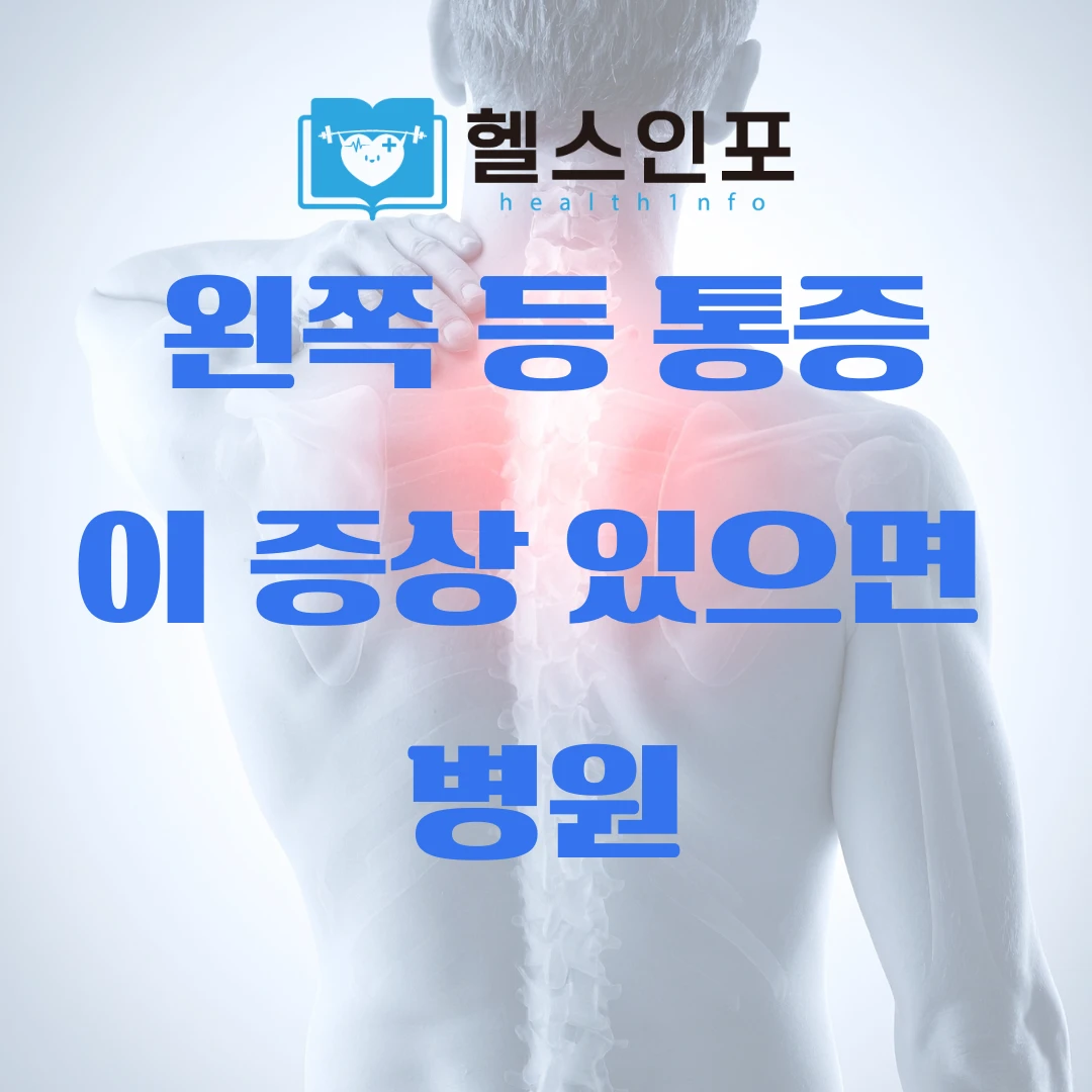 왼쪽 등 통증