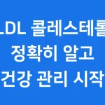 LDL 콜레스테롤