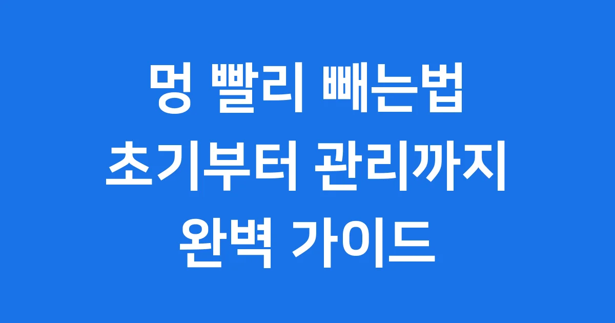 멍 빨리 빼는법