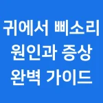 귀에서 삐소리