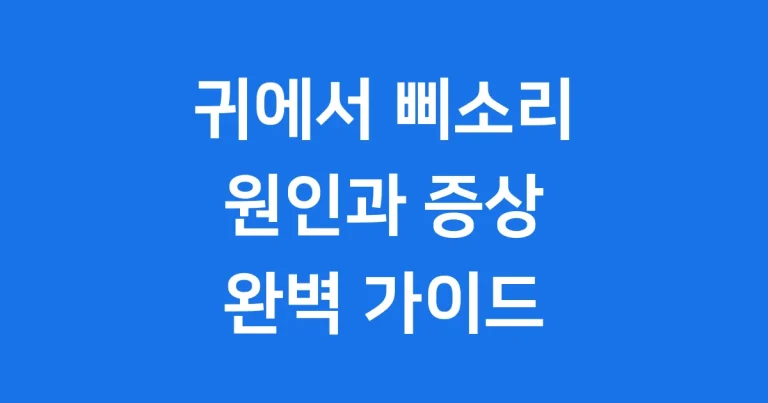 귀에서 삐소리