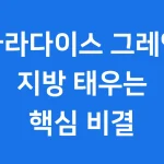 파라다이스 그레인 효능