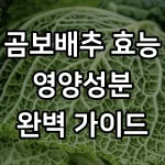 곰보배추 효능