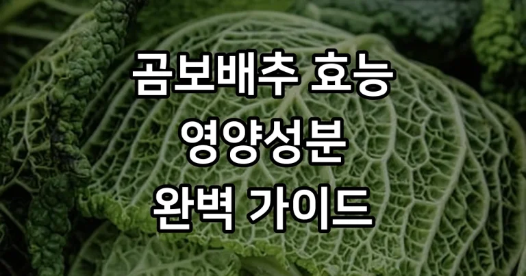 곰보배추 효능