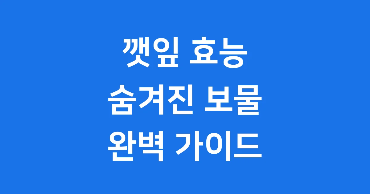 깻잎 효능