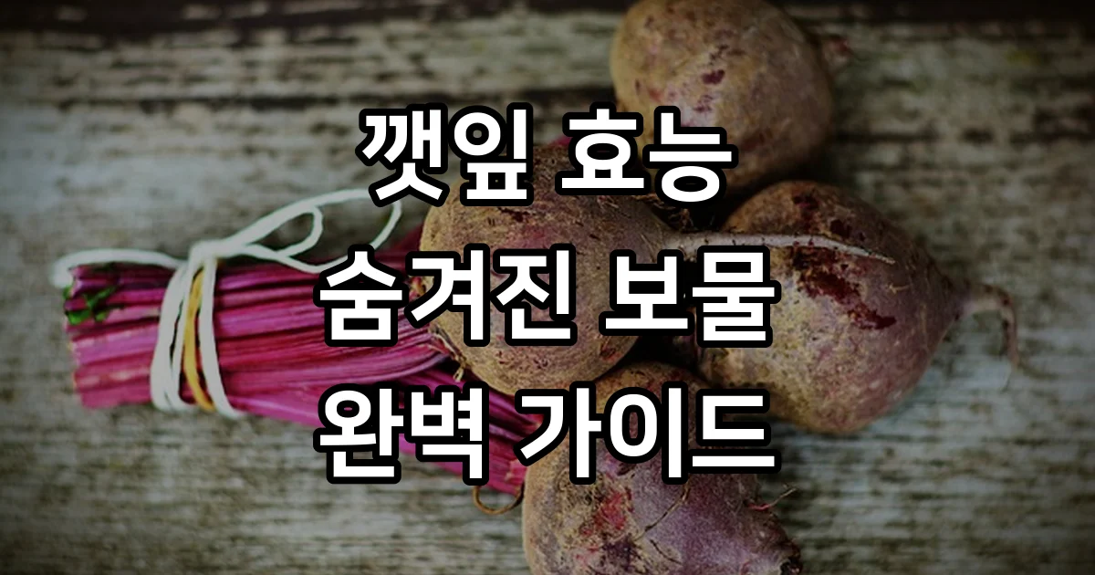 깻잎 효능