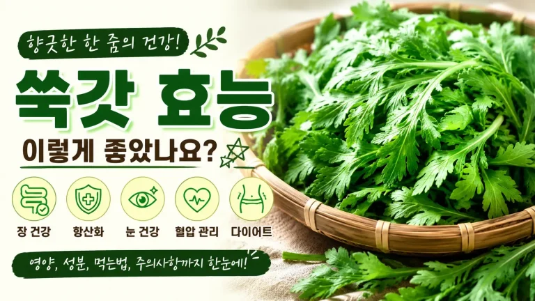 쑥갓 효능