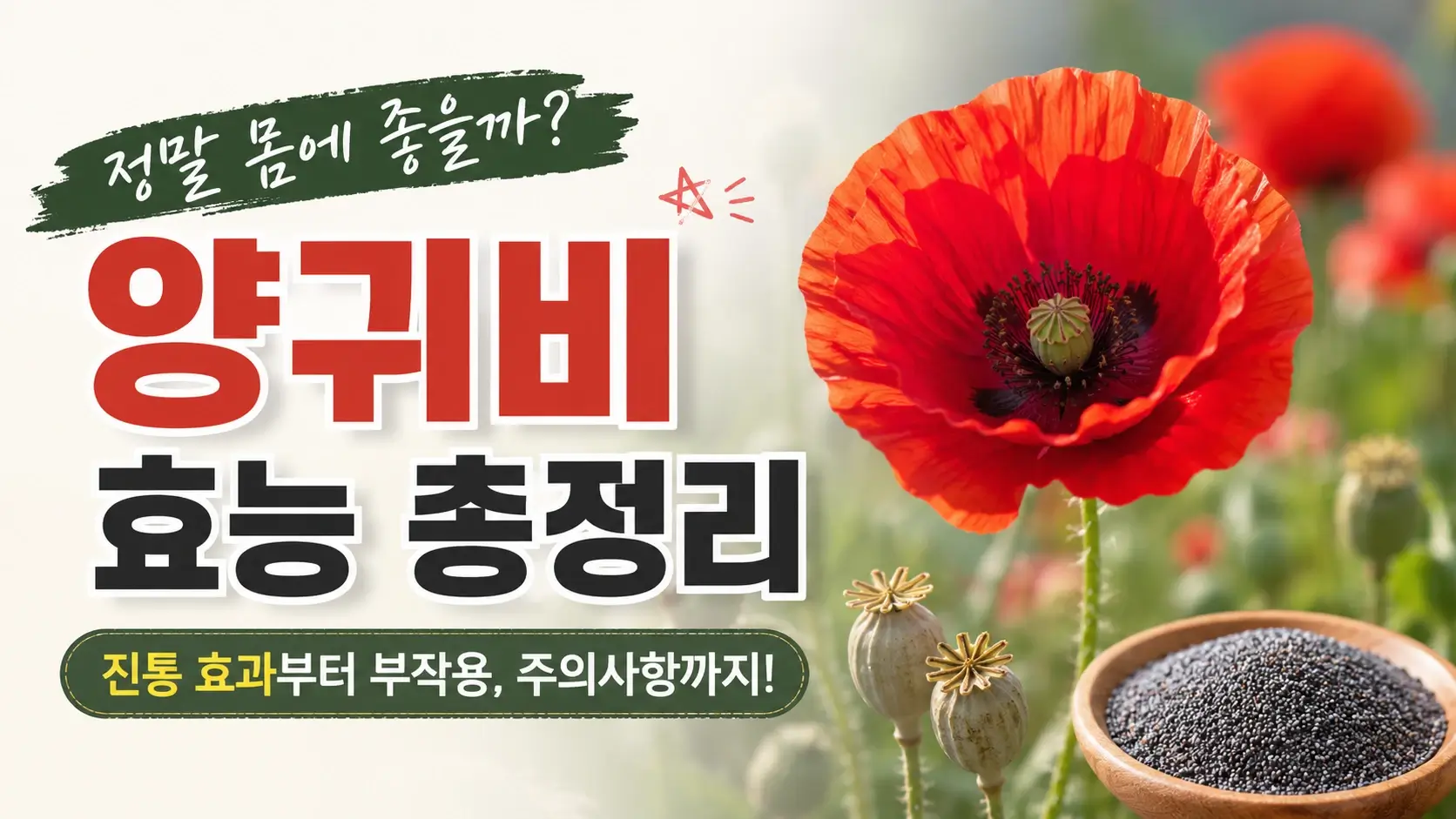 양귀비 효능