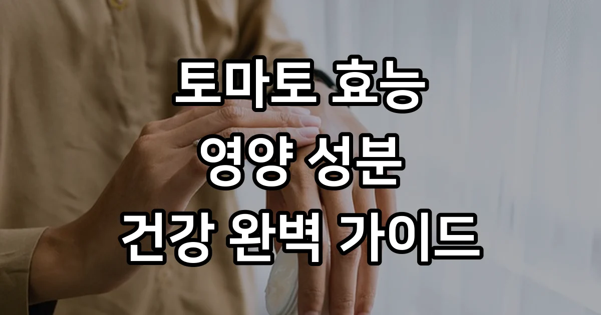 토마토 효능